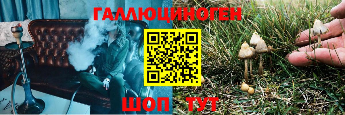 Светлоград  Псилоцибиновые грибы мухоморы  Вход с VPN  купить  сайты  Псилоцибиновые грибы Cubensis 