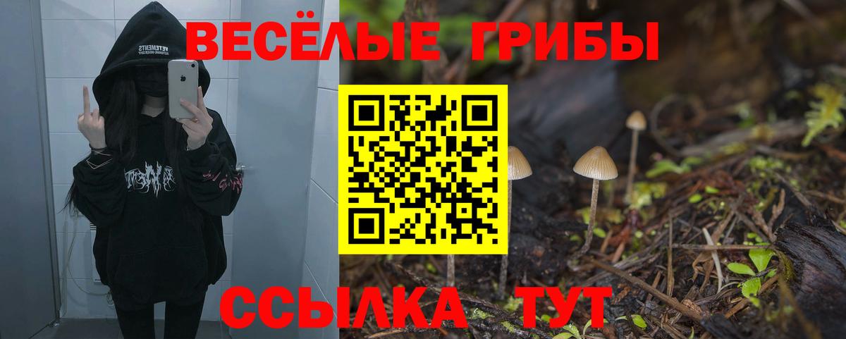 Галлюциногенные грибы MAGIC MUSHROOMS Светлоград