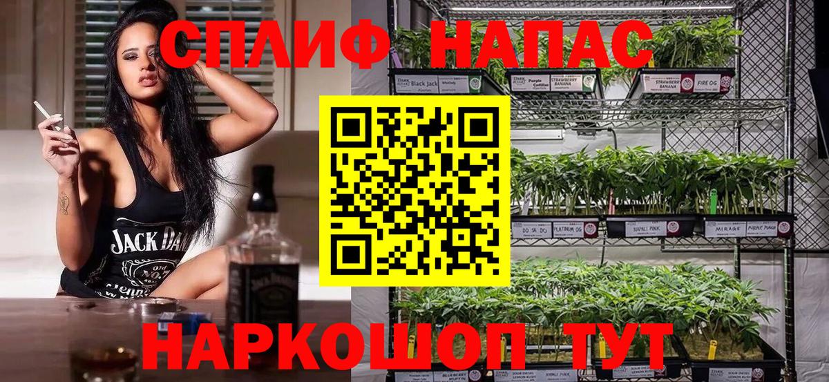 Шишки марихуана план Светлоград